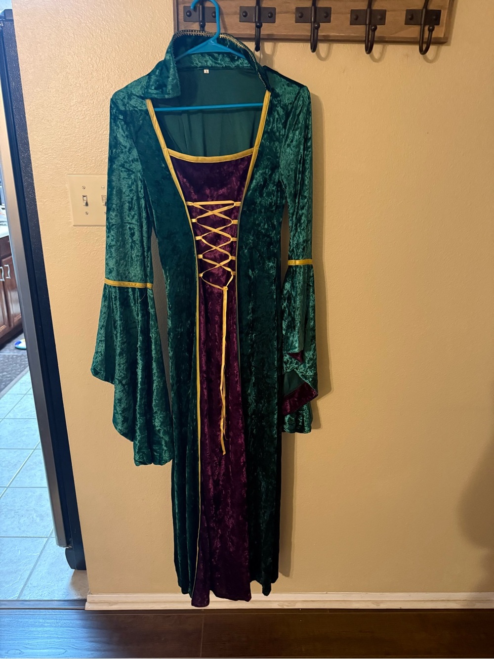 Hocus Pocus Green and Purple Velvet Renaissance Costume Dress
